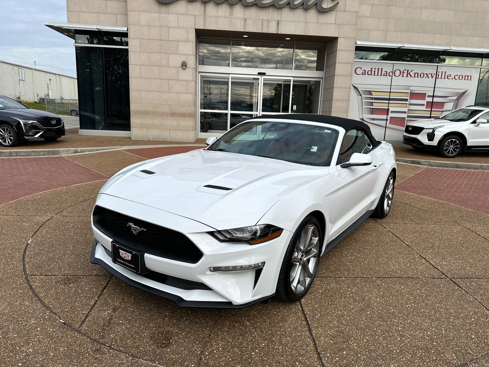 2023 Ford Mustang EcoBoost 1