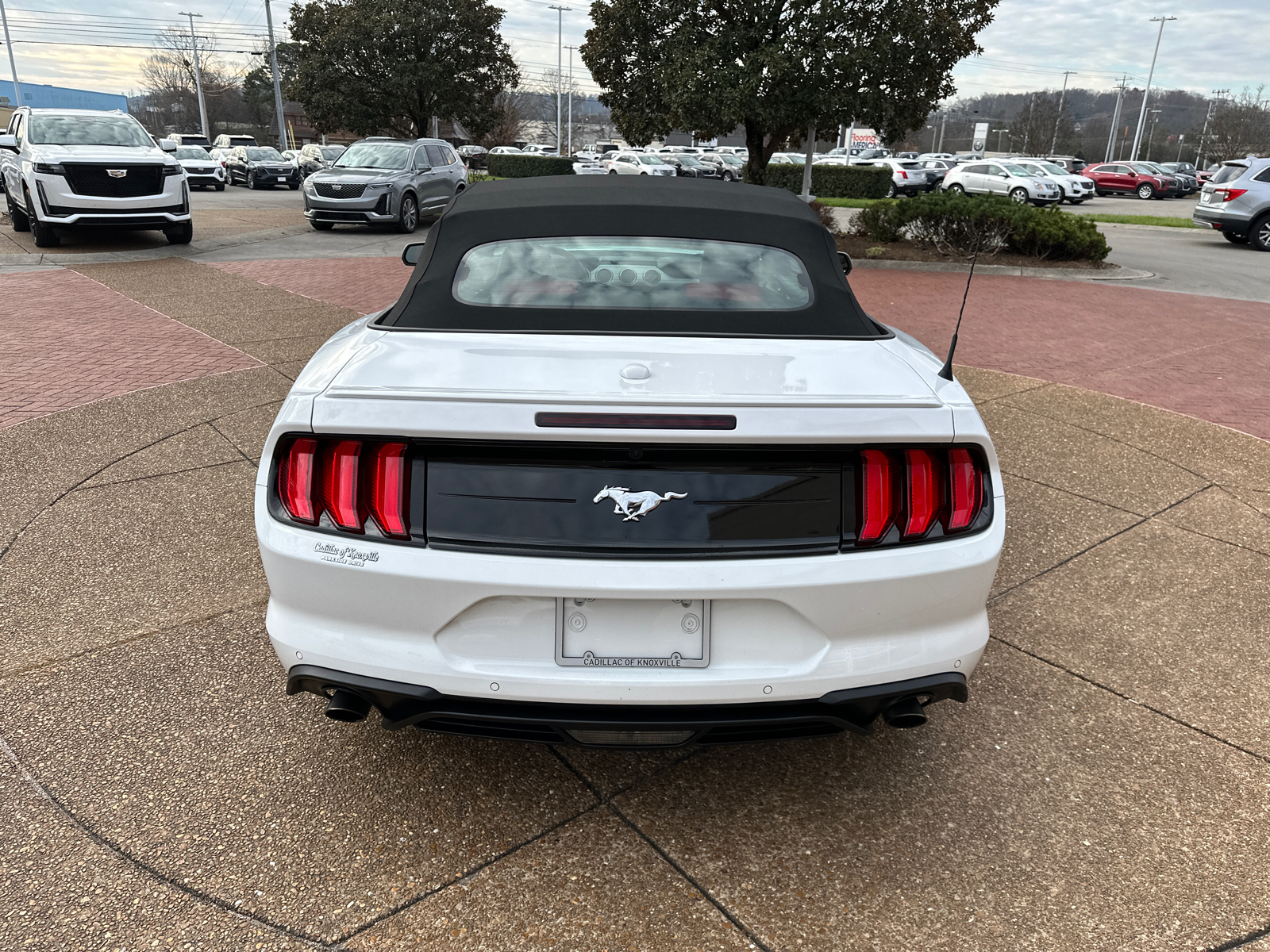 2023 Ford Mustang EcoBoost 5