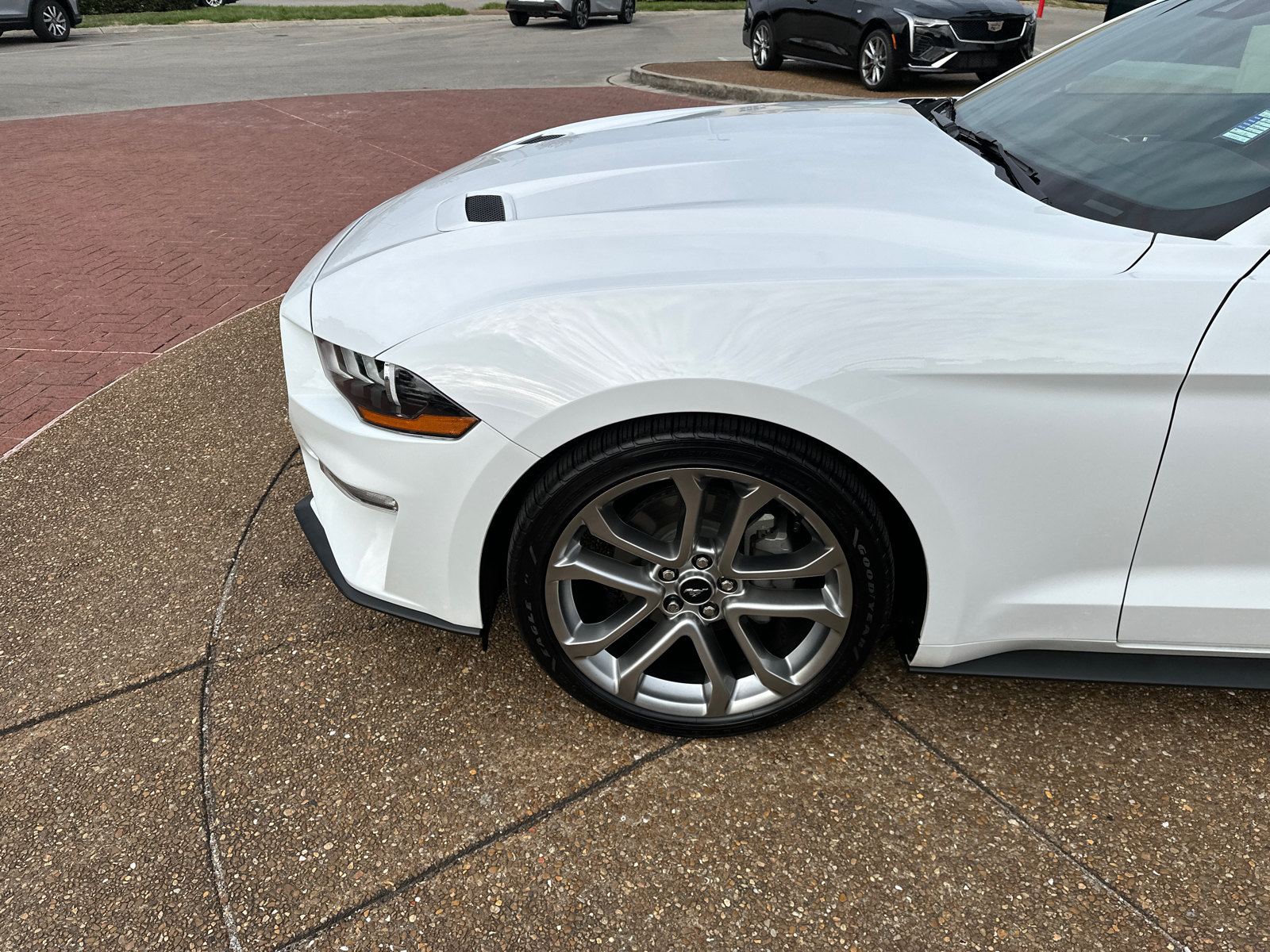 2023 Ford Mustang EcoBoost 23