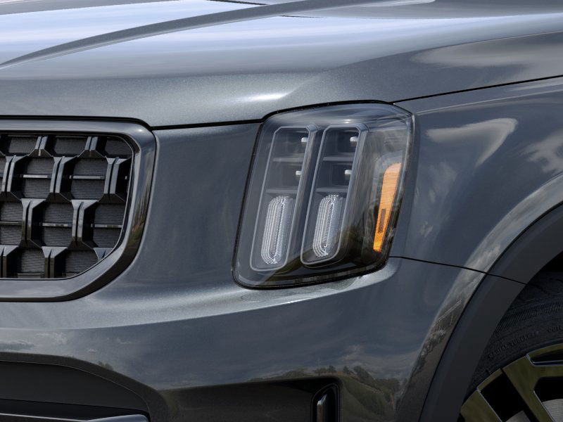 2024 Kia Telluride  10