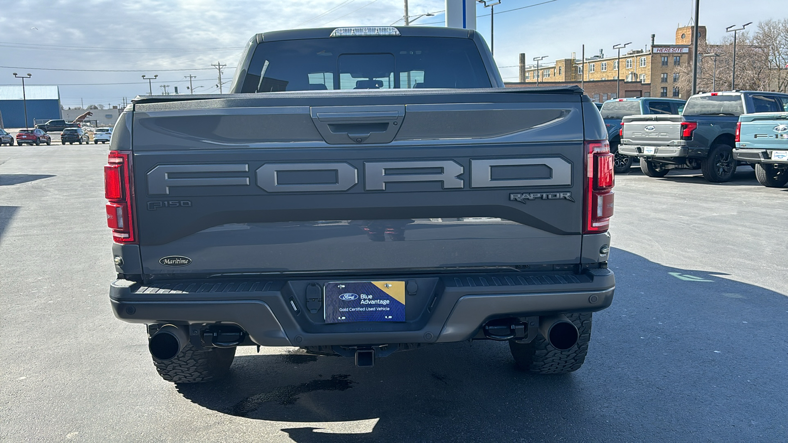 2020 Ford F-150 Raptor 4