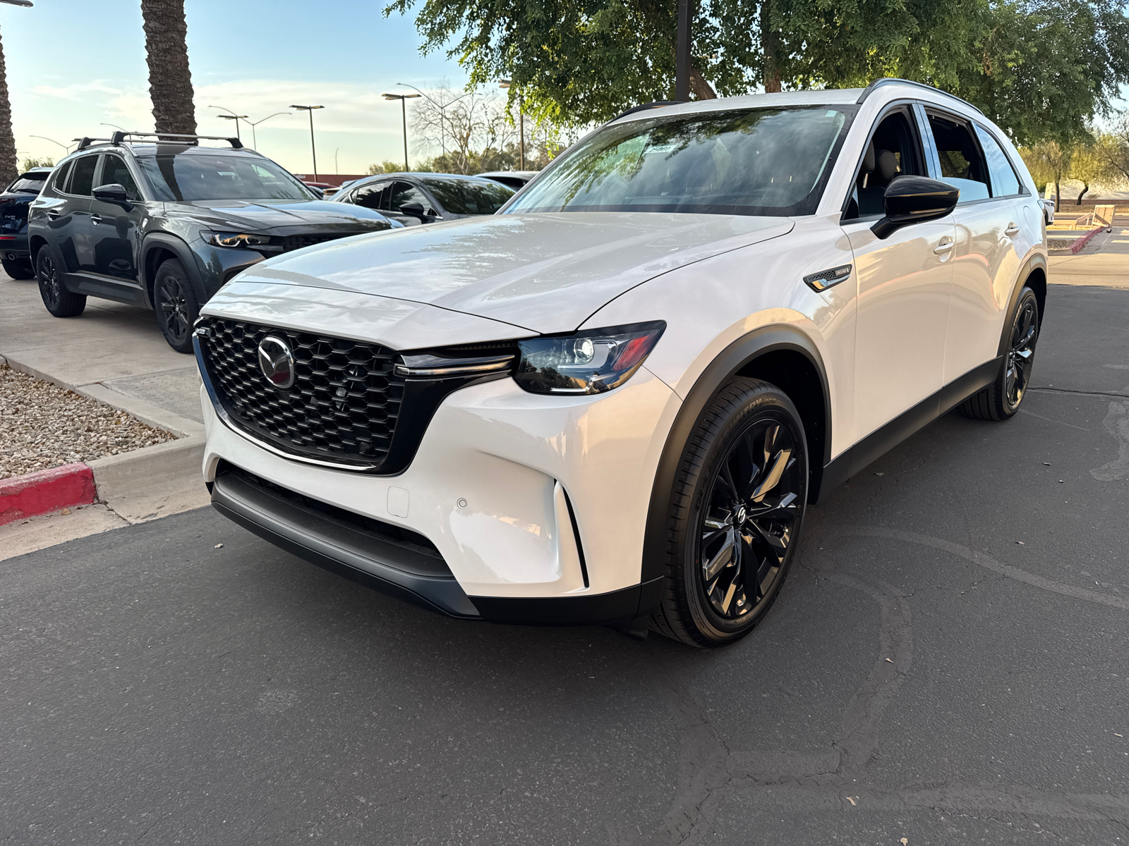 2025 Mazda CX-90 3.3 Turbo Premium 4