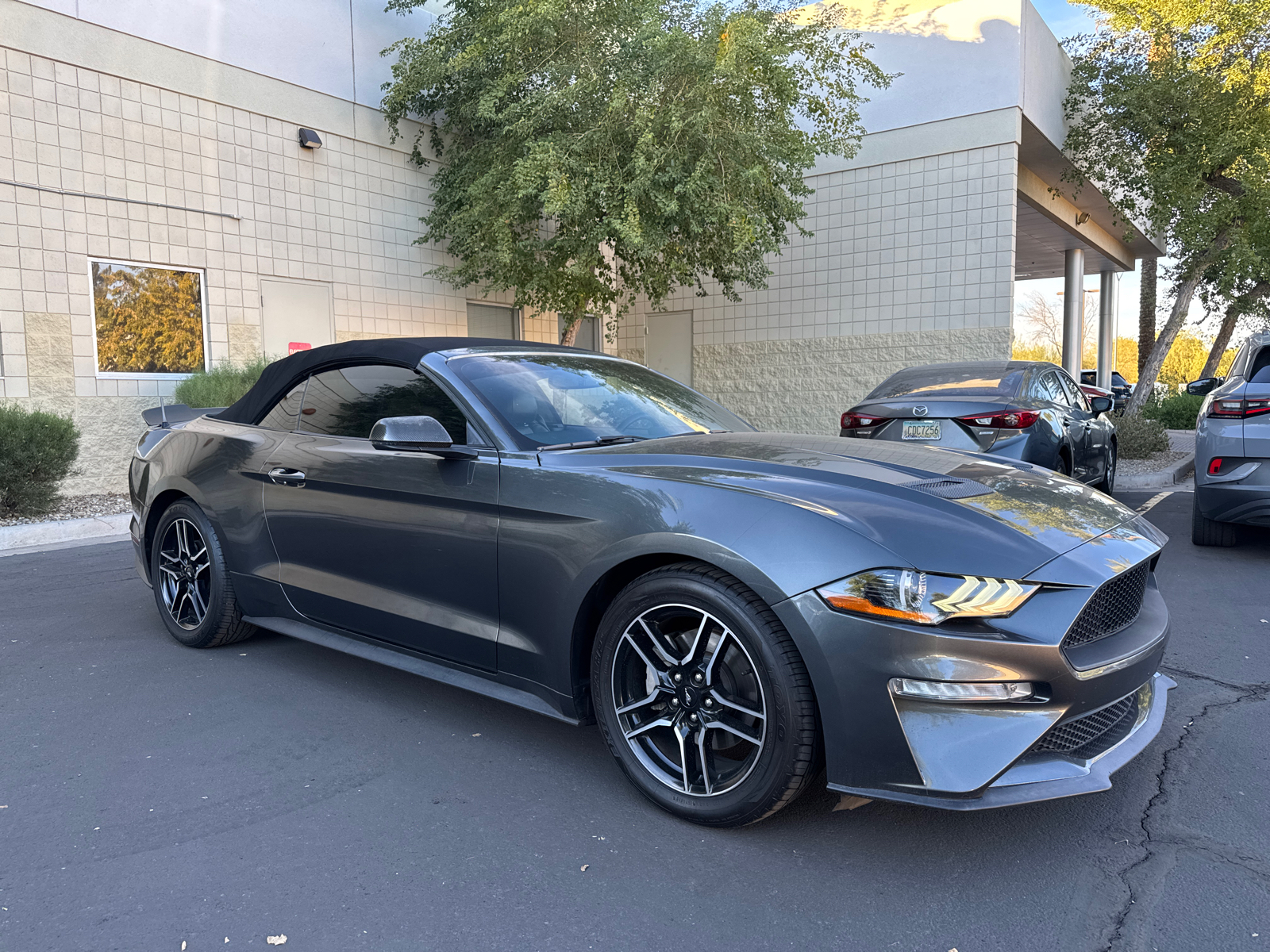 2019 Ford Mustang EcoBoost Premium 1