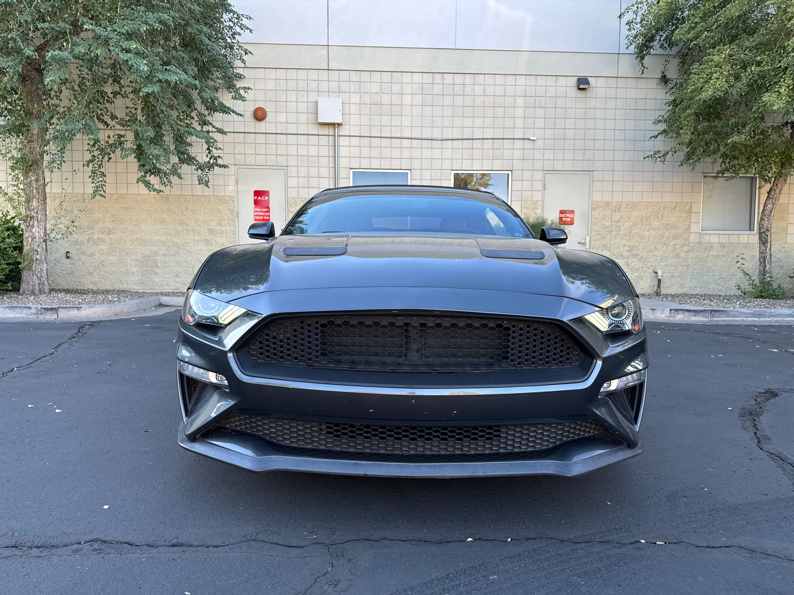 2019 Ford Mustang EcoBoost Premium 2