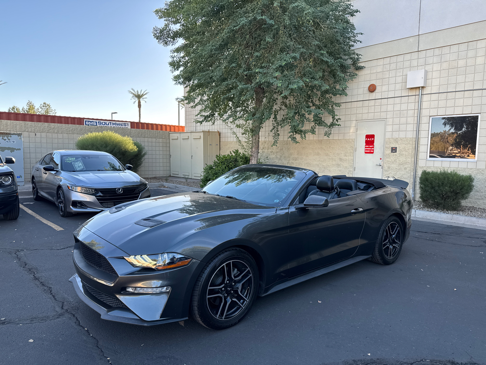 2019 Ford Mustang EcoBoost Premium 18