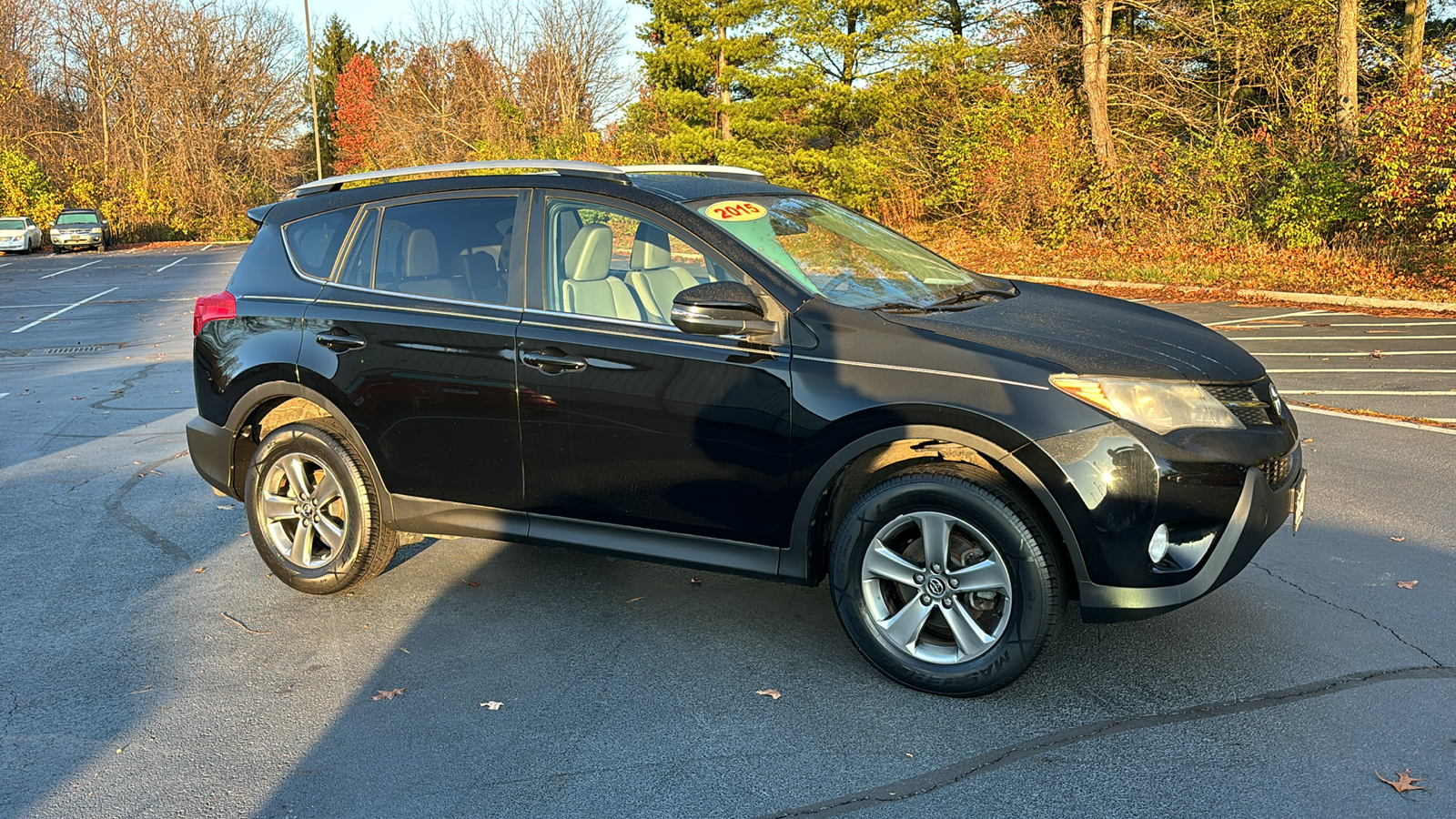 2015 Toyota RAV4 XLE 2