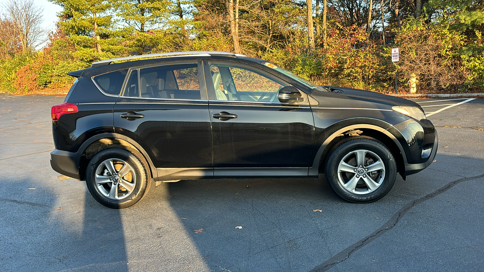 2015 Toyota RAV4 XLE 3