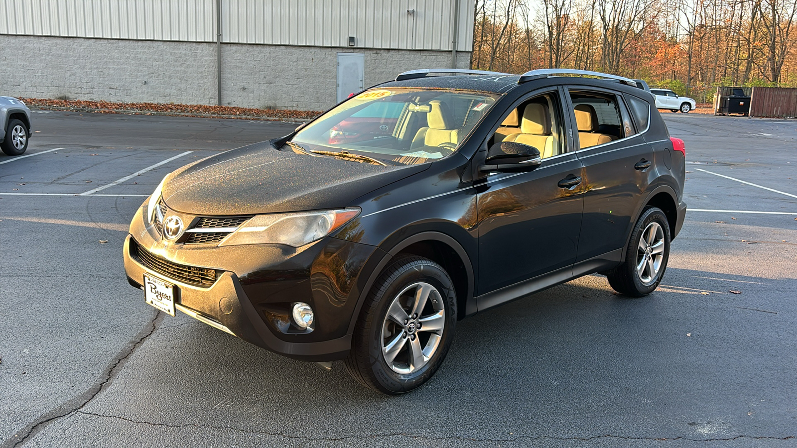 2015 Toyota RAV4 XLE 10