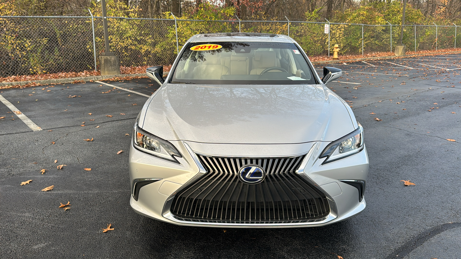 2019 Lexus ES 300h 9