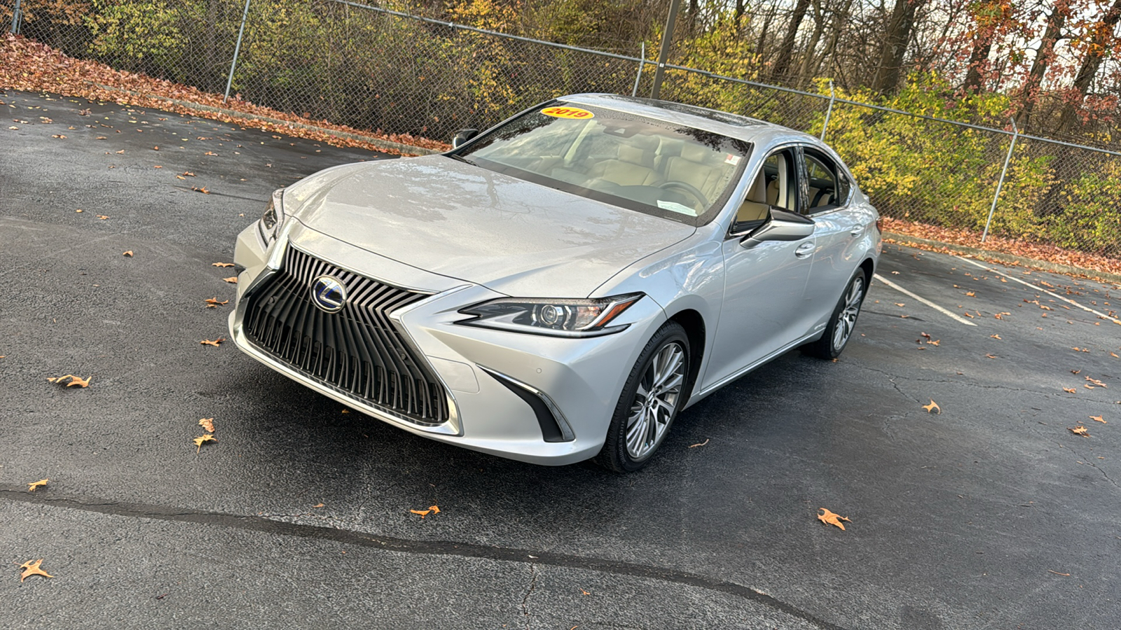 2019 Lexus ES 300h 10