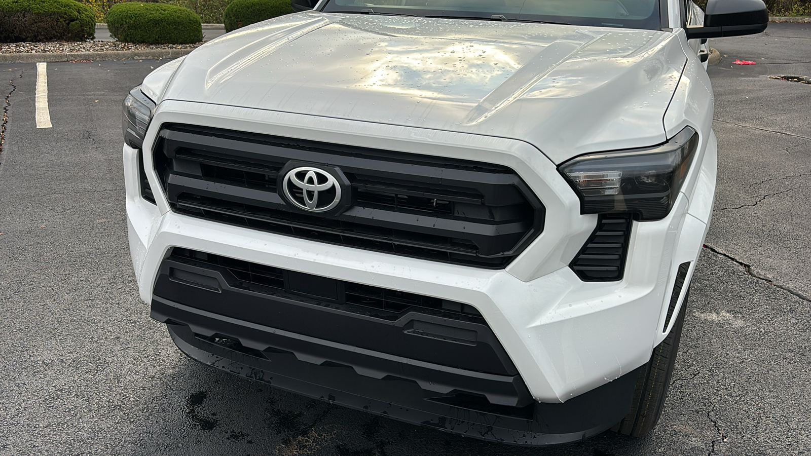 2024 Toyota Tacoma 2WD SR 41