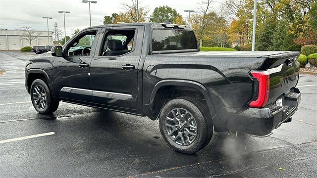 2025 Toyota Tundra 4WD Platinum 14