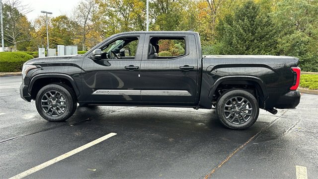 2025 Toyota Tundra 4WD Platinum 15