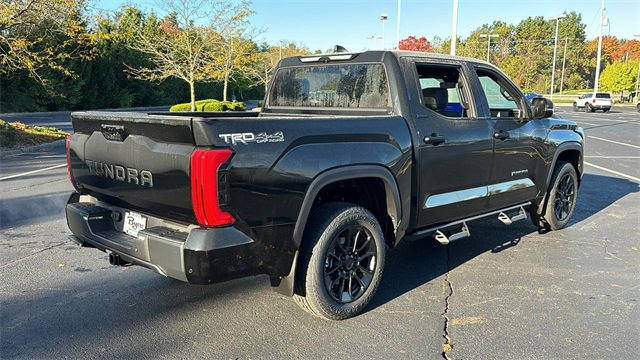 2025 Toyota Tundra 4WD Limited 10