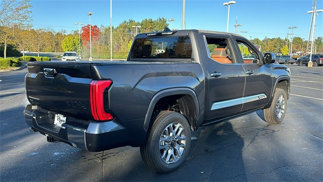 2025 Toyota Tundra 4WD 1794 Edition 10