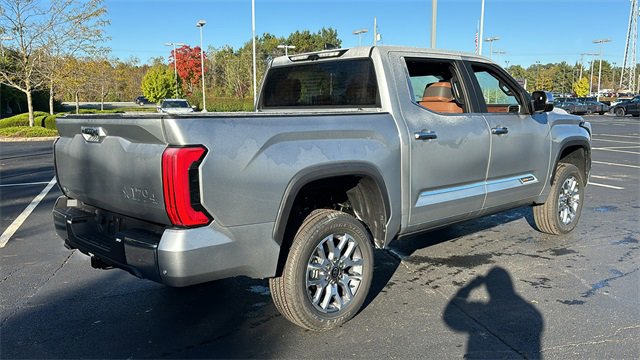 2025 Toyota Tundra 4WD 1794 Edition 10