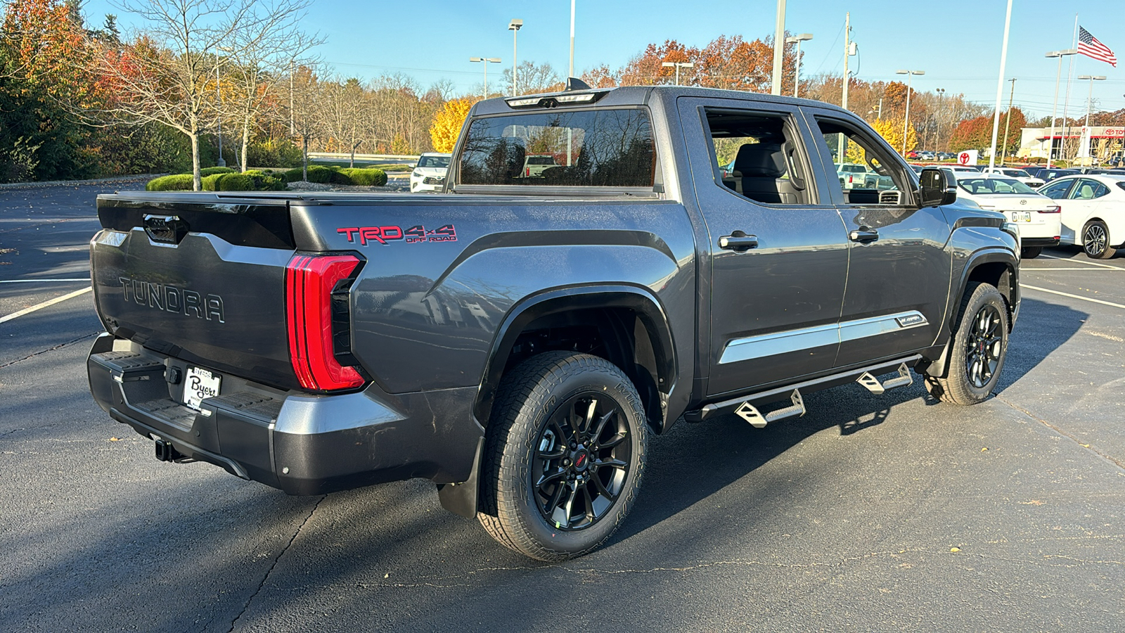 2025 Toyota Tundra 4WD Platinum 10