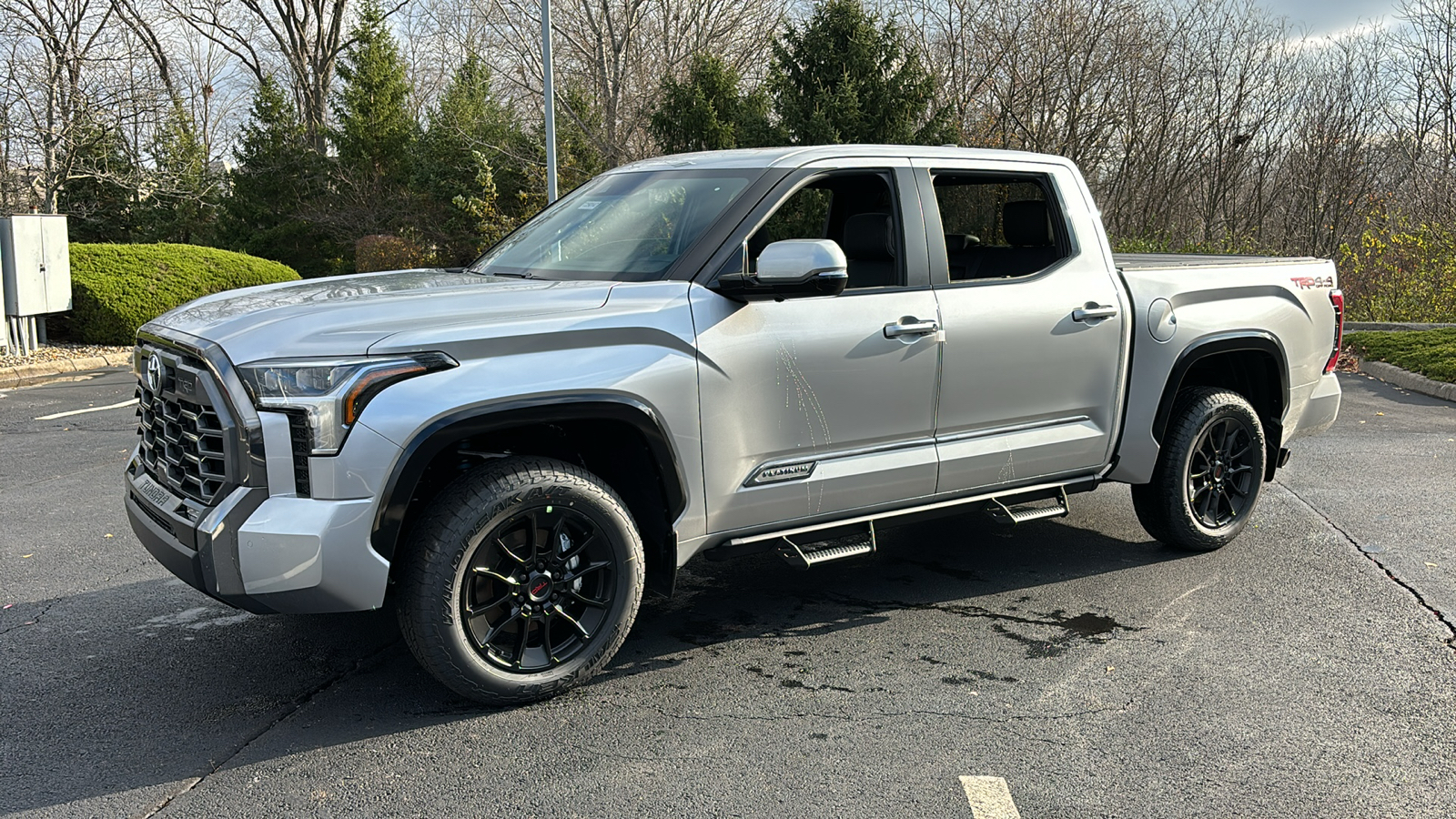 2025 Toyota Tundra 4WD Platinum 42