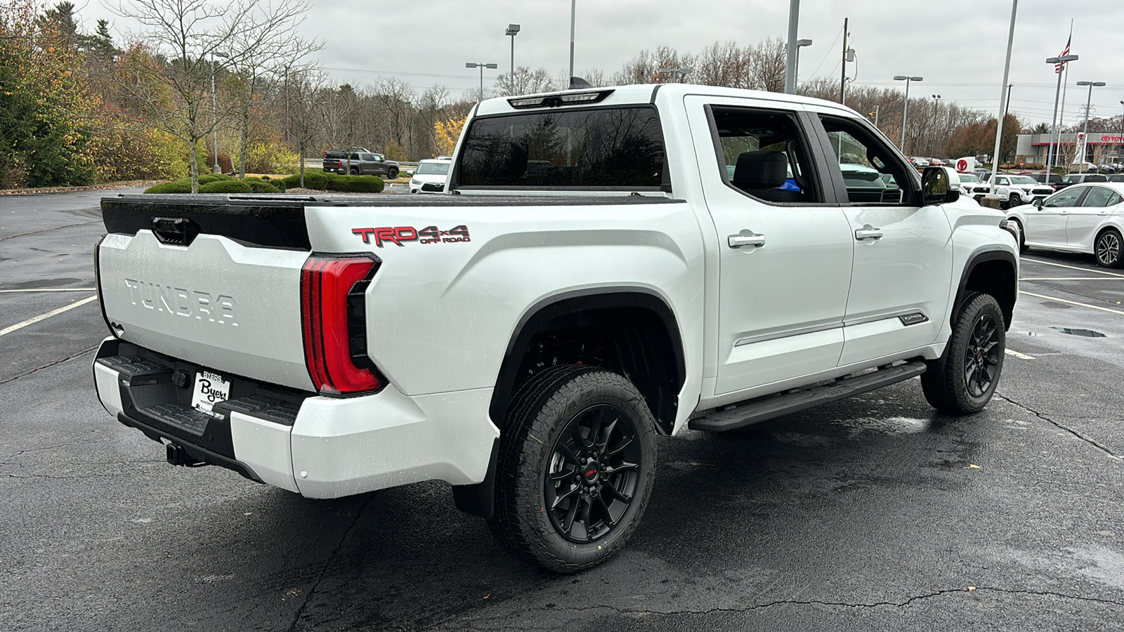 2025 Toyota Tundra 4WD Platinum 10