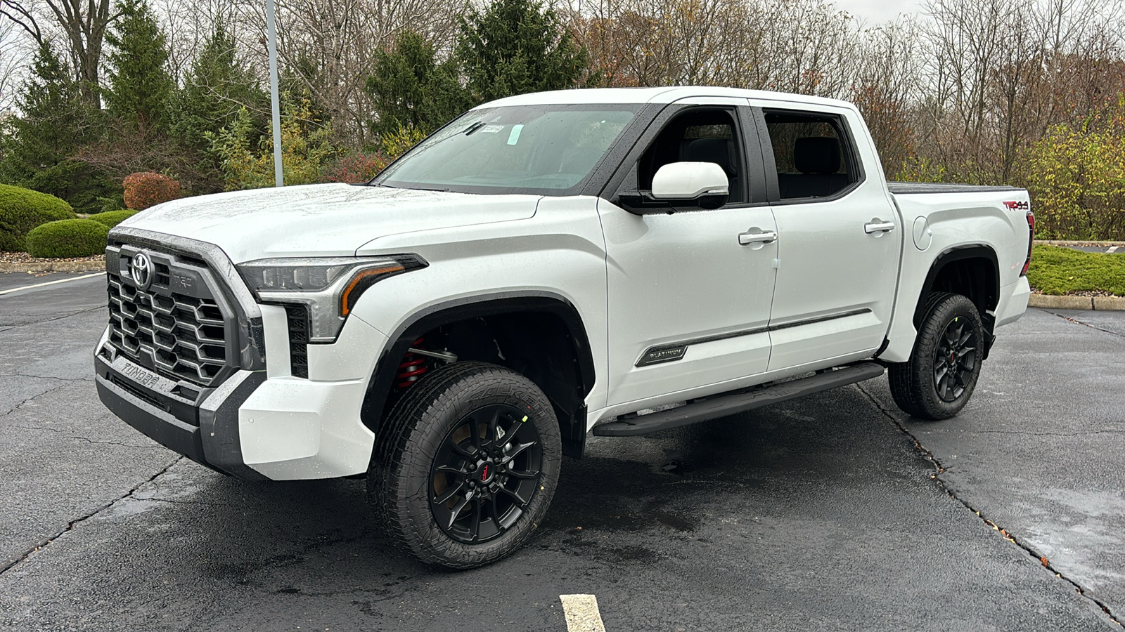 2025 Toyota Tundra 4WD Platinum 42