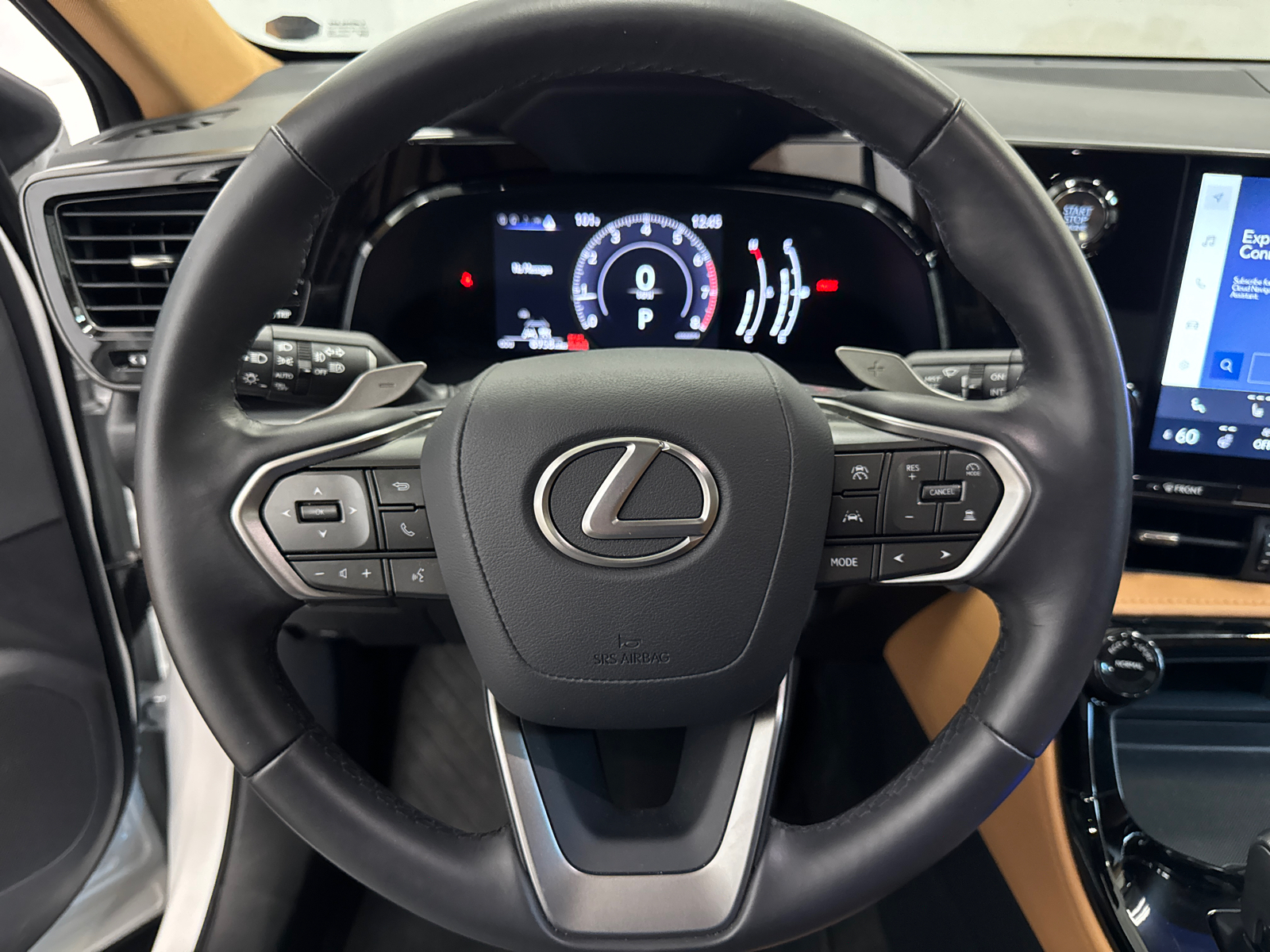 2024 Lexus NX 350 Base 14