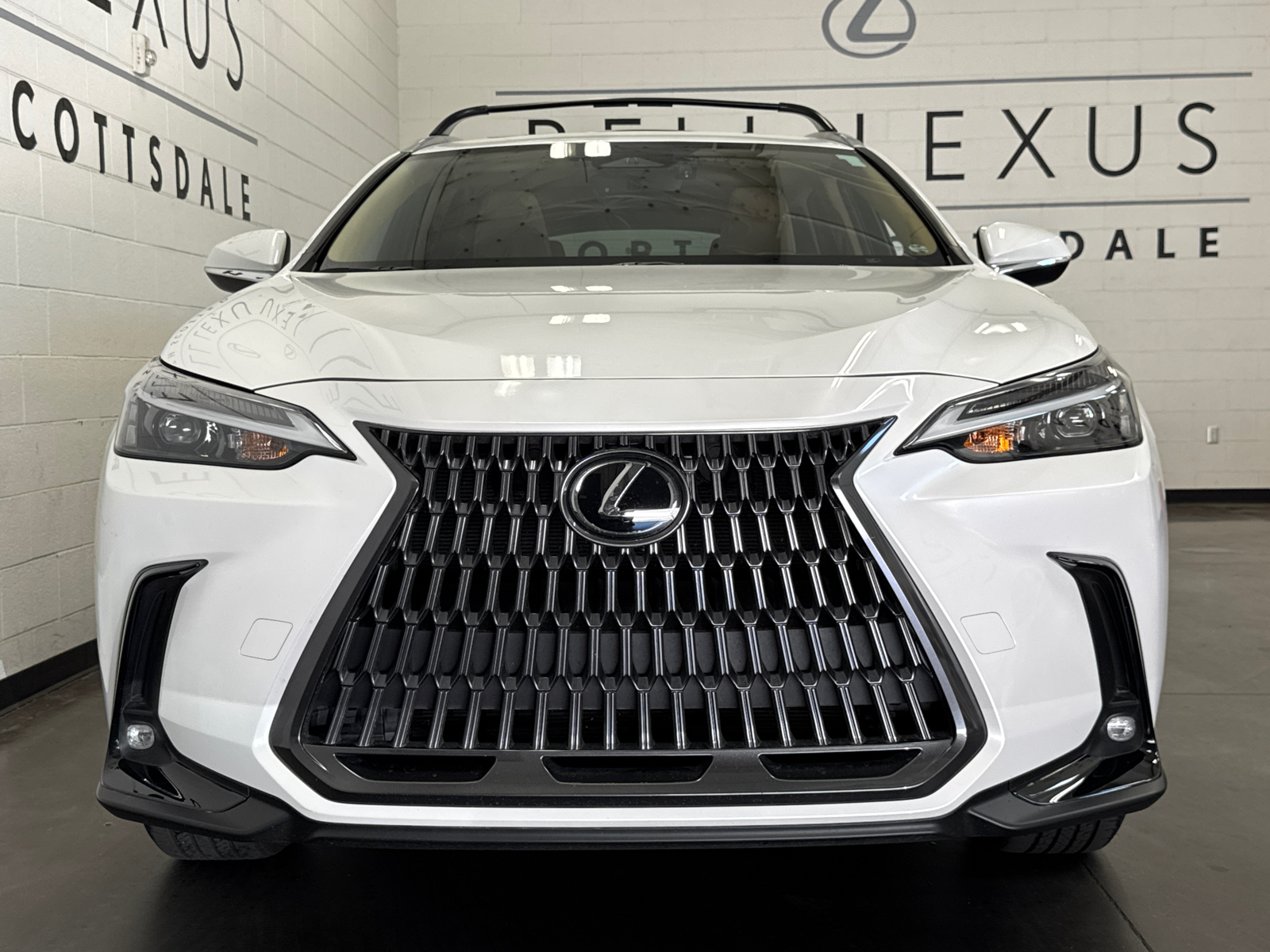 2024 Lexus NX 350 Base 26