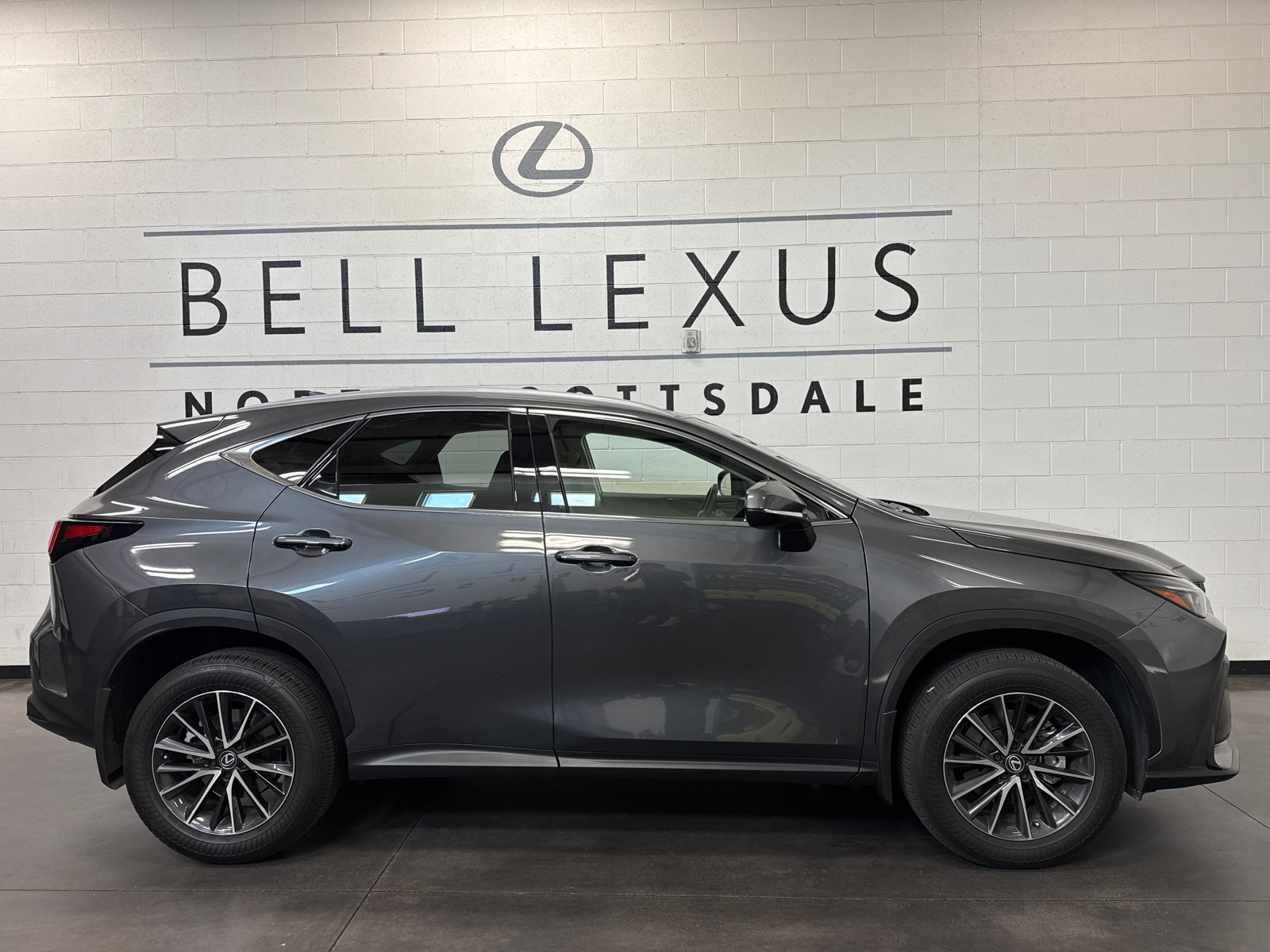 2024 Lexus NX 350 Base 4