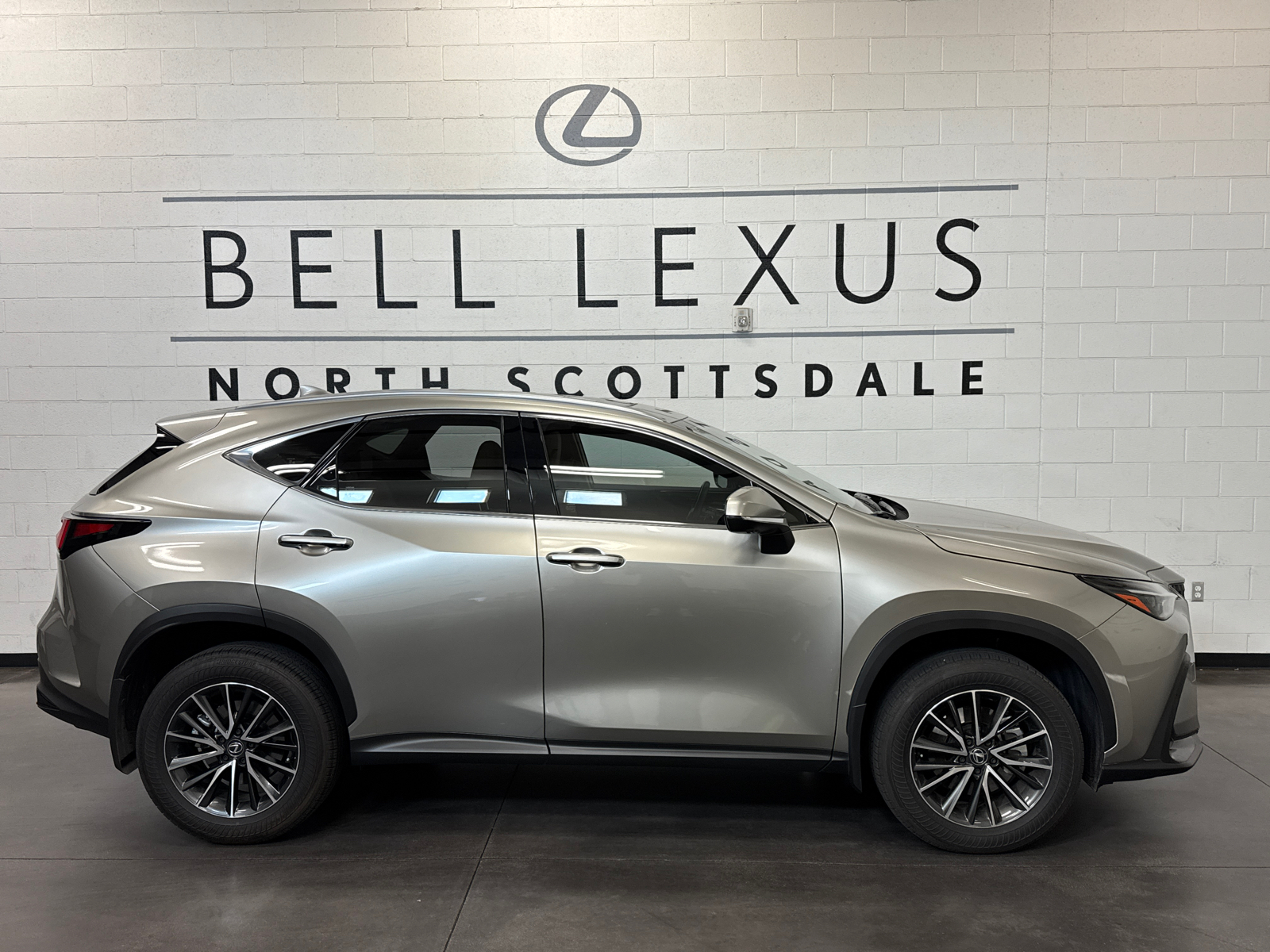 2024 Lexus NX 350h Premium 4