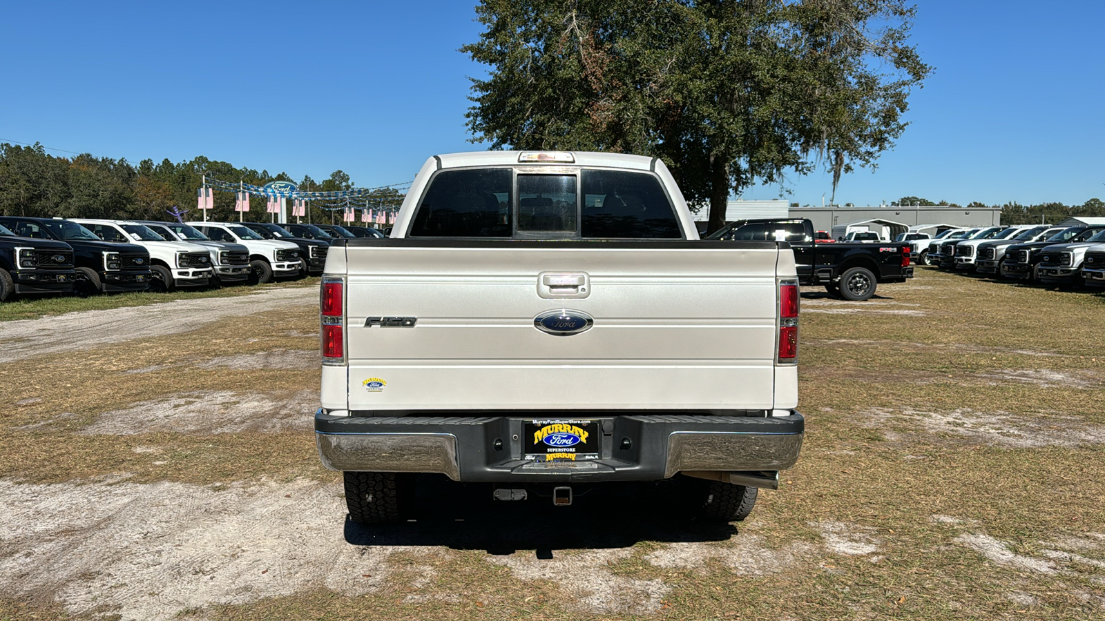 2013 Ford F-150  5