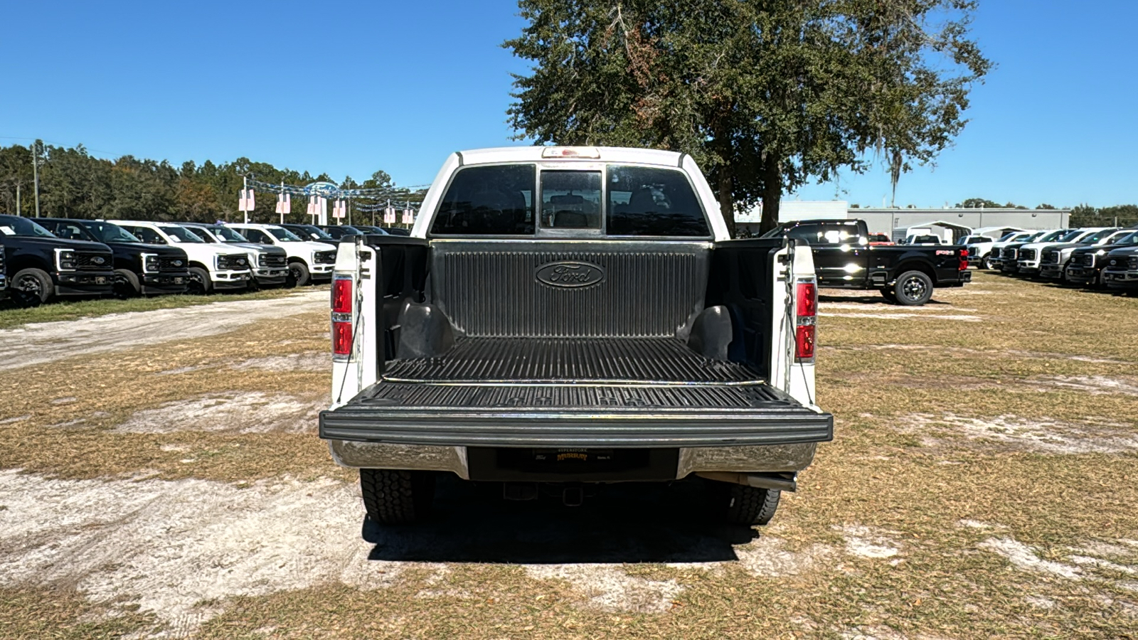 2013 Ford F-150  6