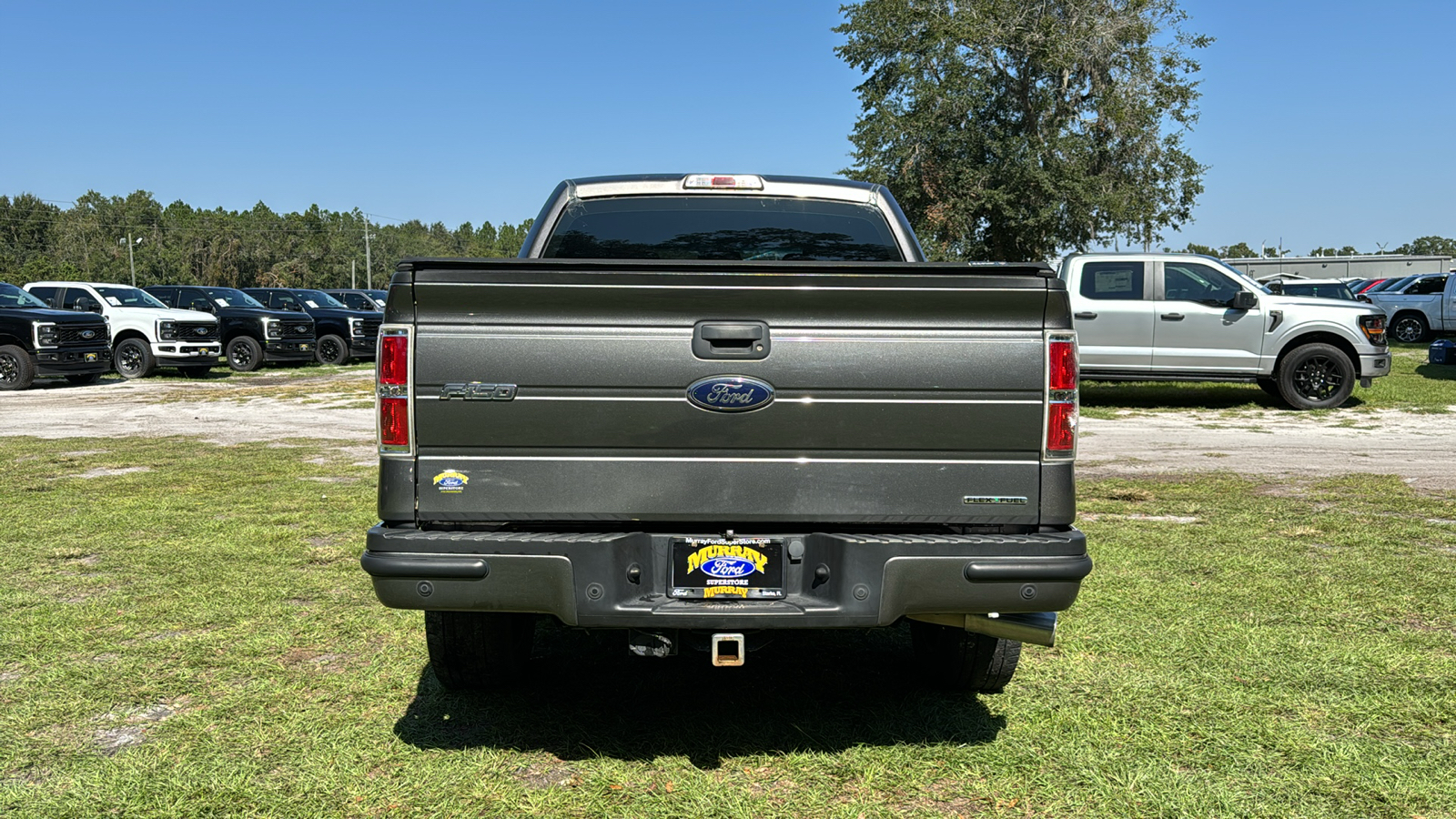 2014 Ford F-150  5