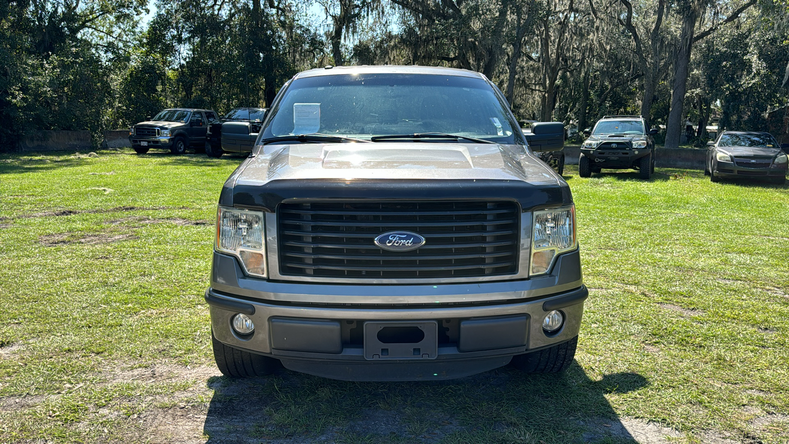 2014 Ford F-150  11