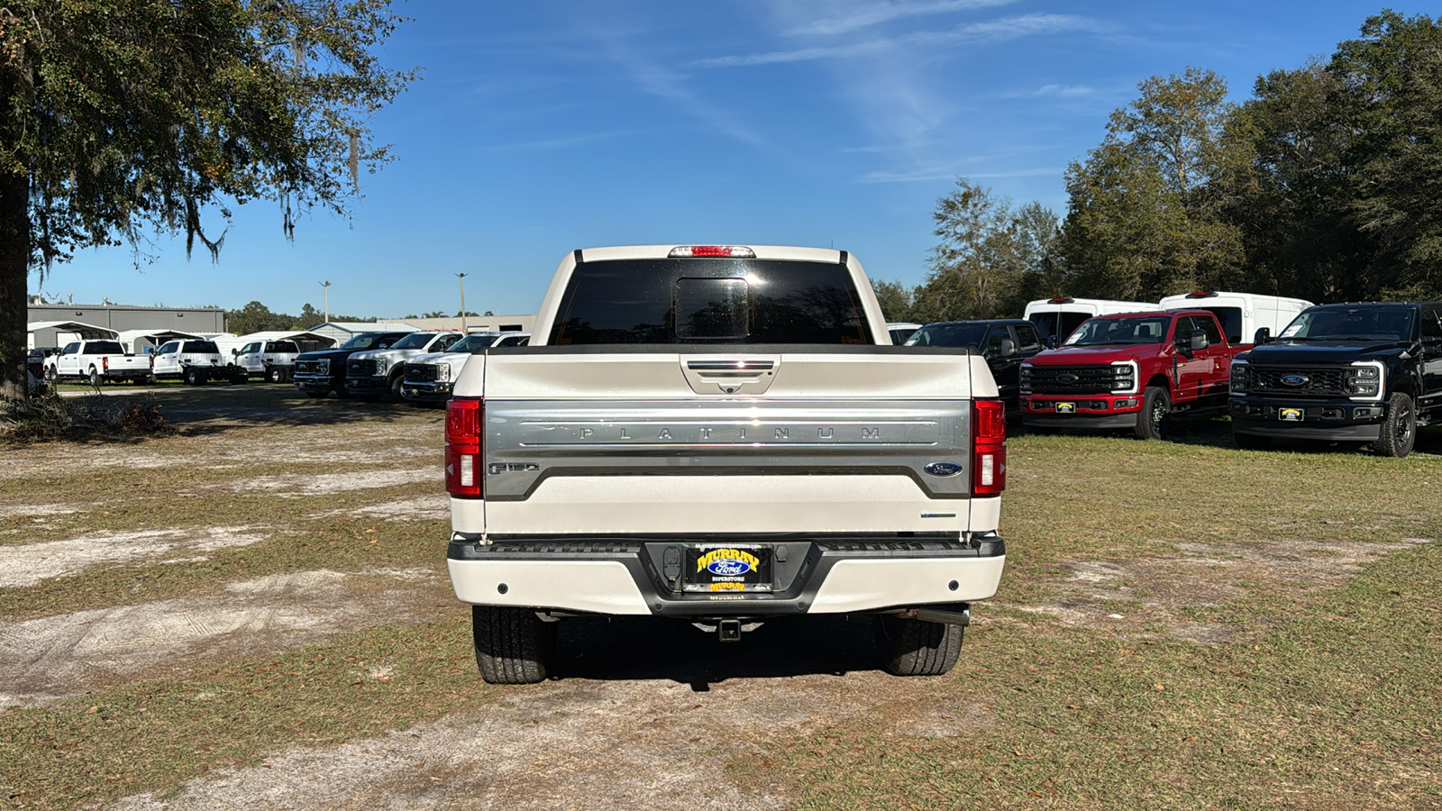 2018 Ford F-150 Platinum 5