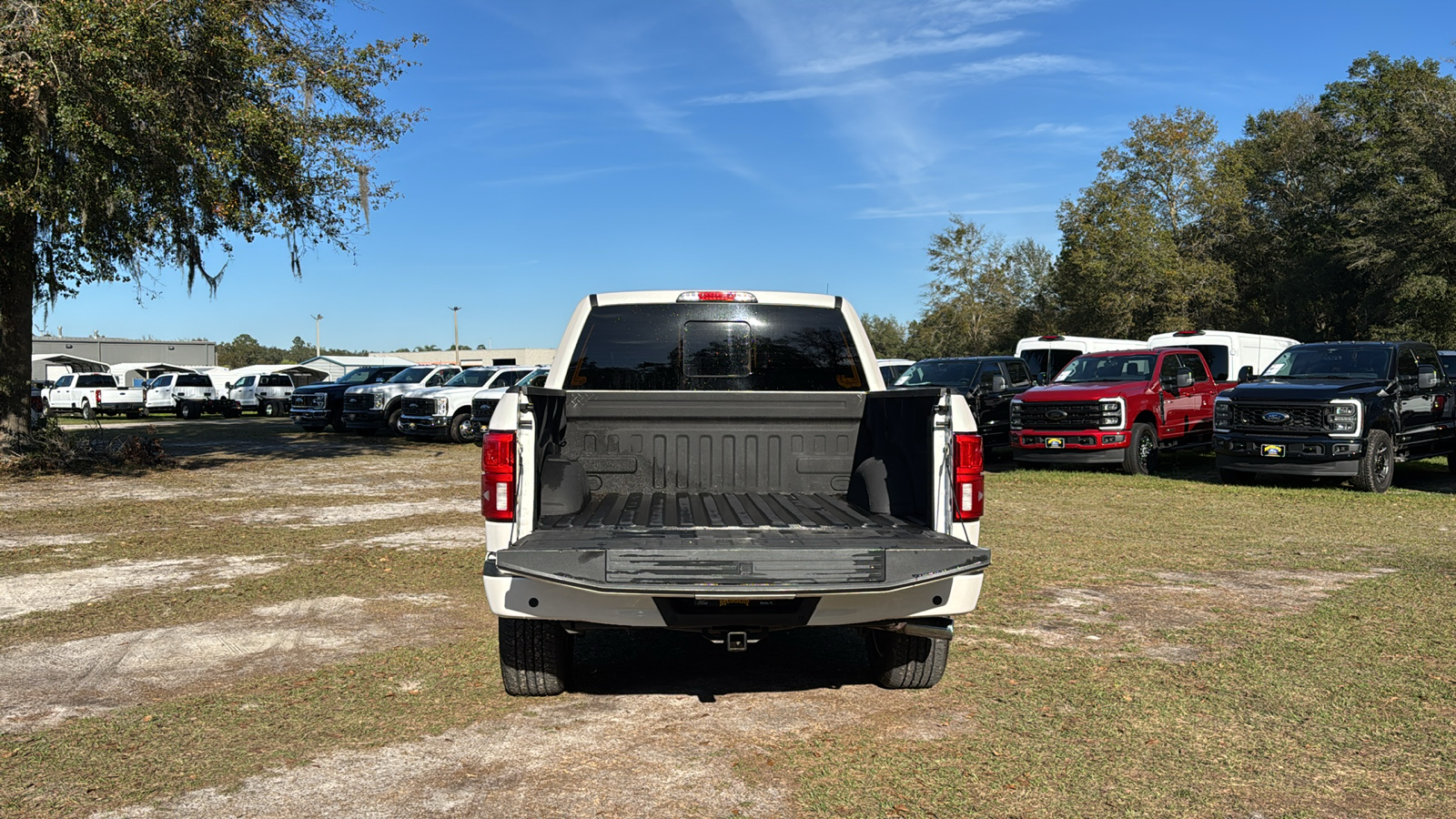 2018 Ford F-150 Platinum 6