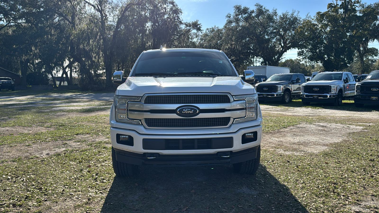 2018 Ford F-150 Platinum 13