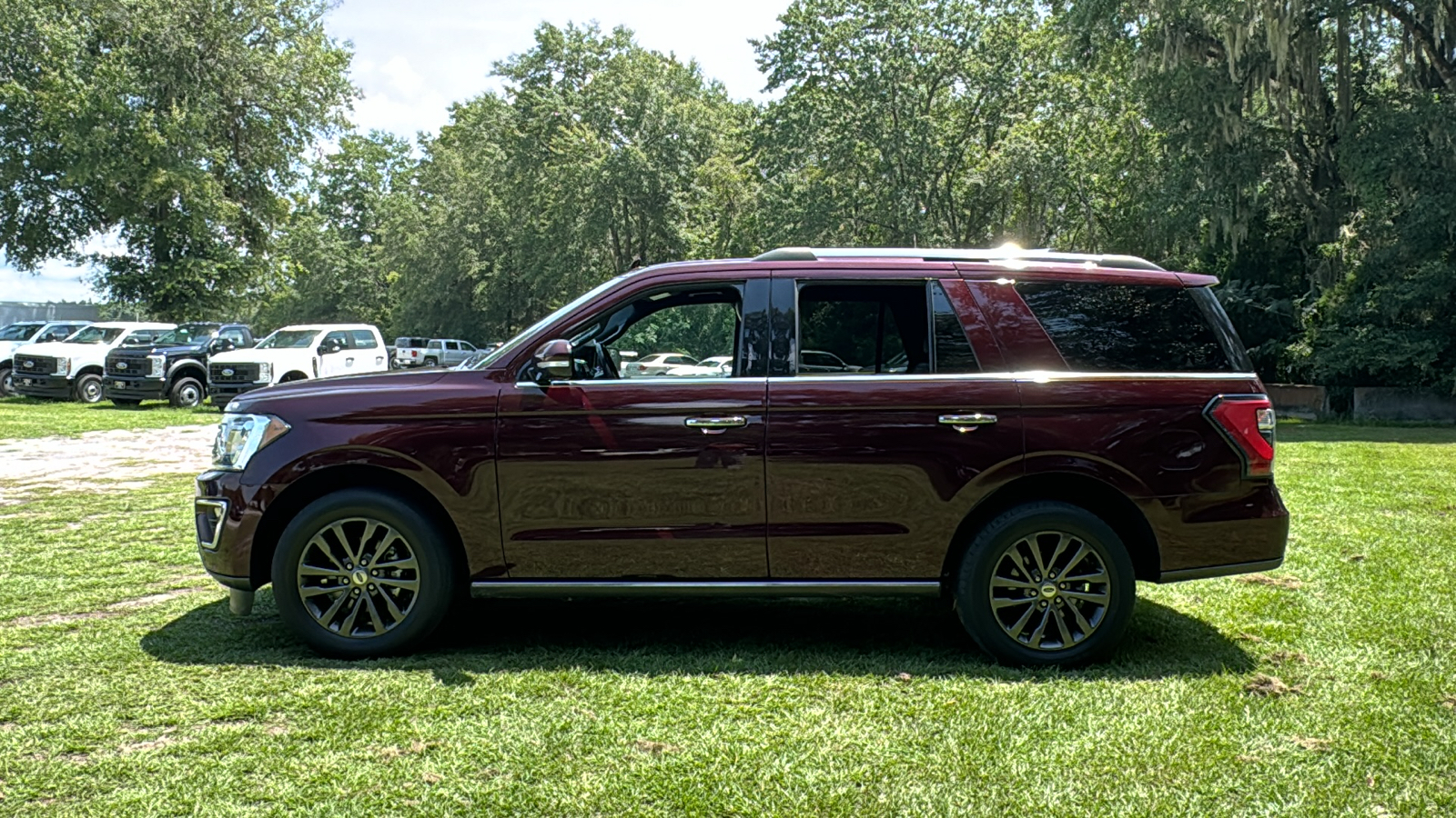 2020 Ford Expedition Limited 3