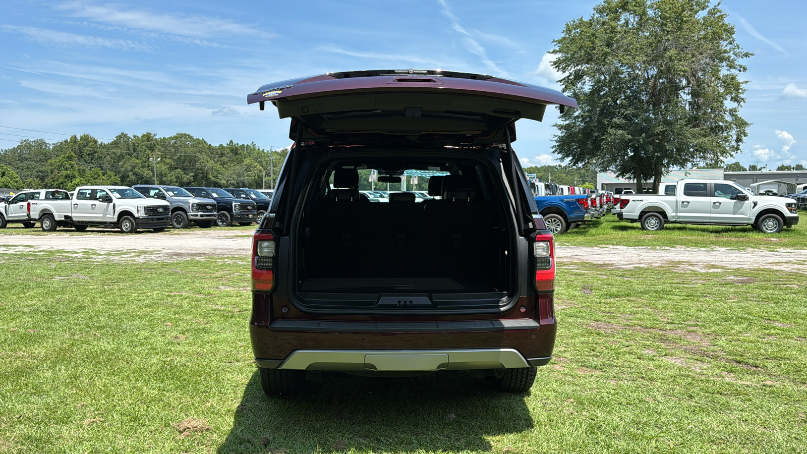 2020 Ford Expedition Limited 6