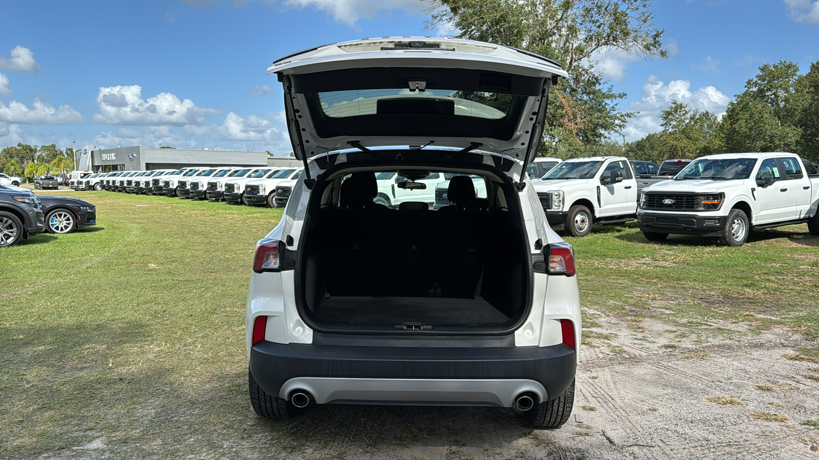 2020 Ford Escape SE 6