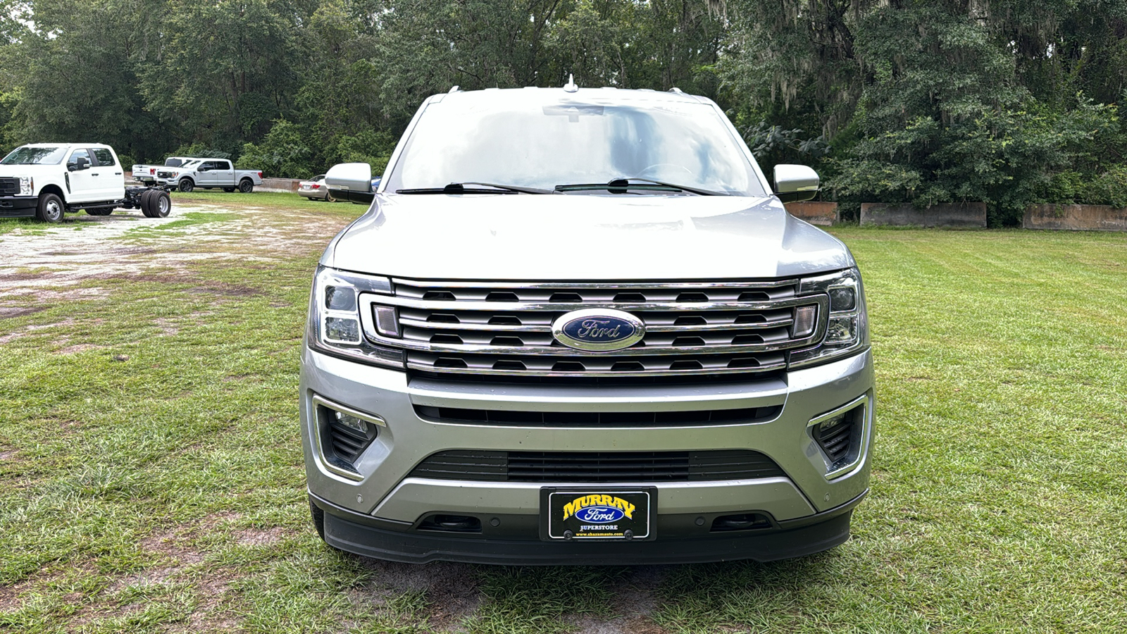 2021 Ford Expedition Limited 12