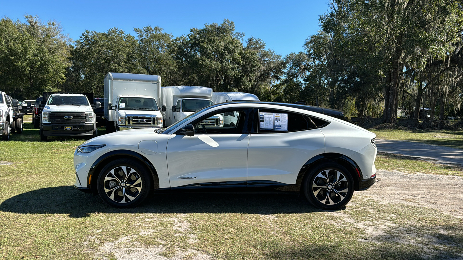 2021 Ford Mustang Mach-E Premium 3