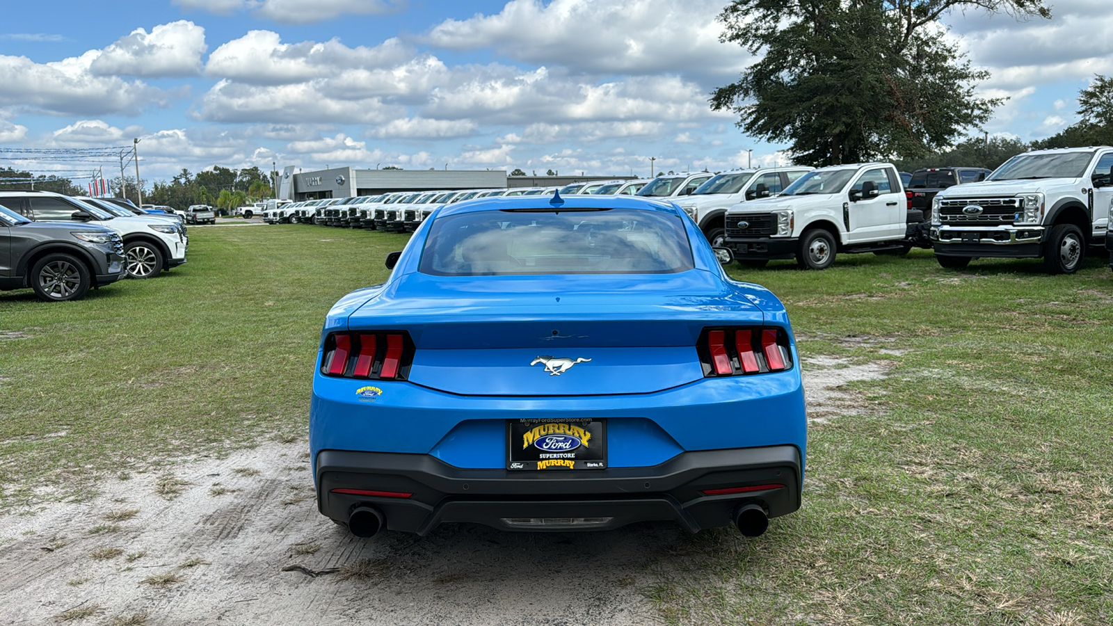 2024 Ford Mustang EcoBoost 5