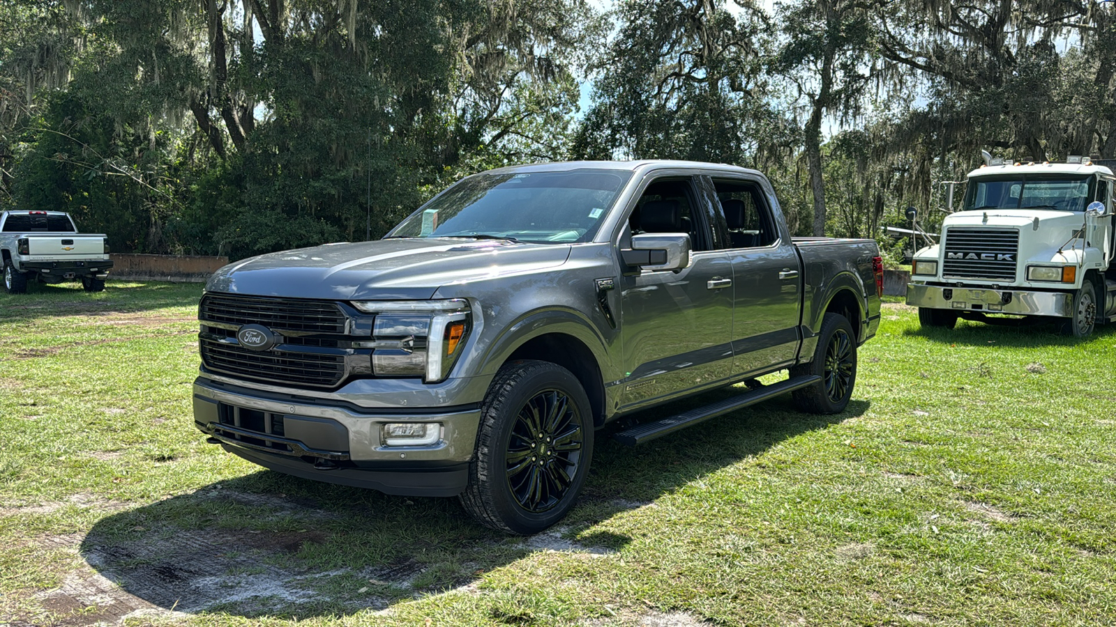 2024 Ford F-150 Platinum 2