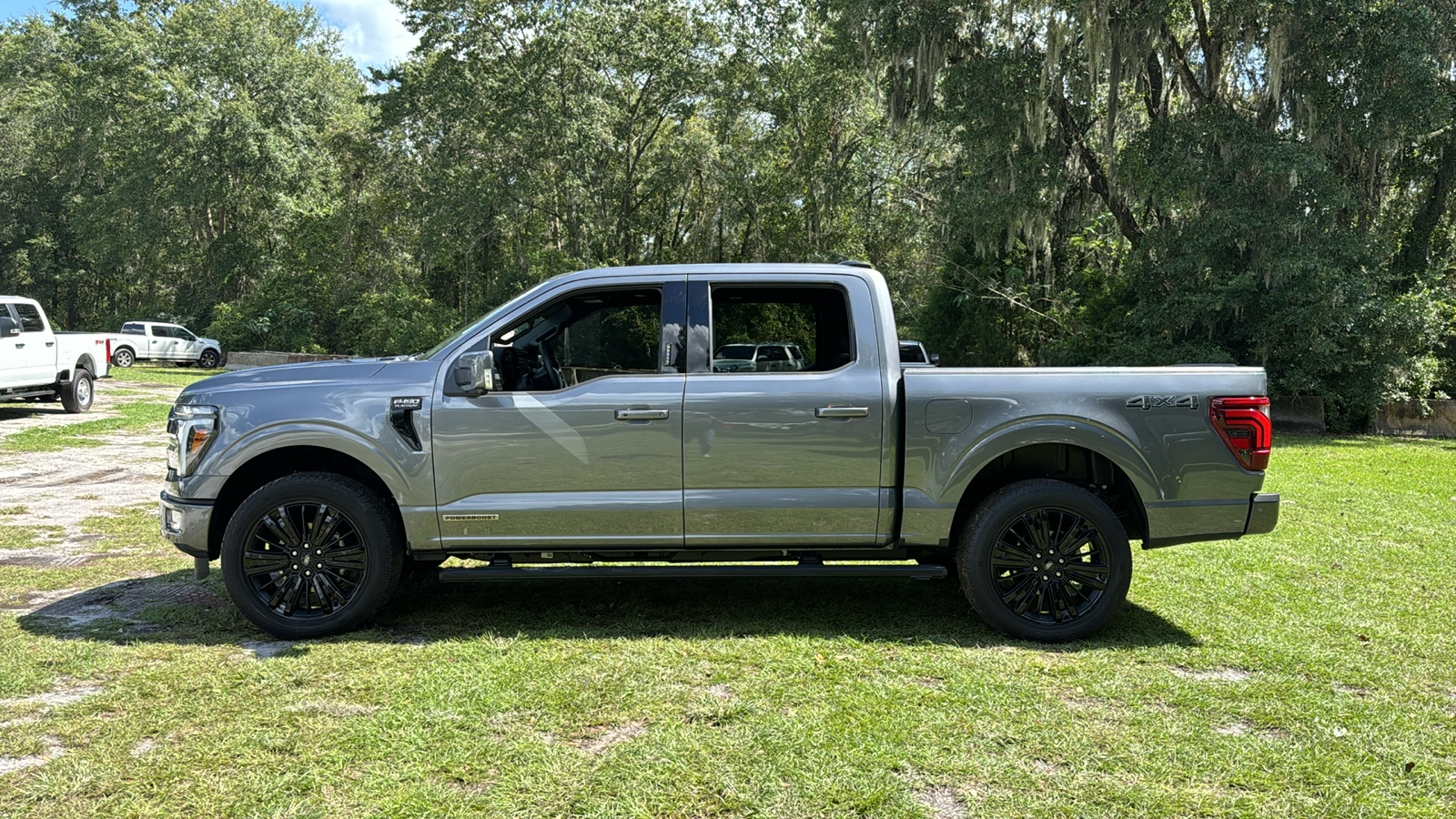 2024 Ford F-150 Platinum 3