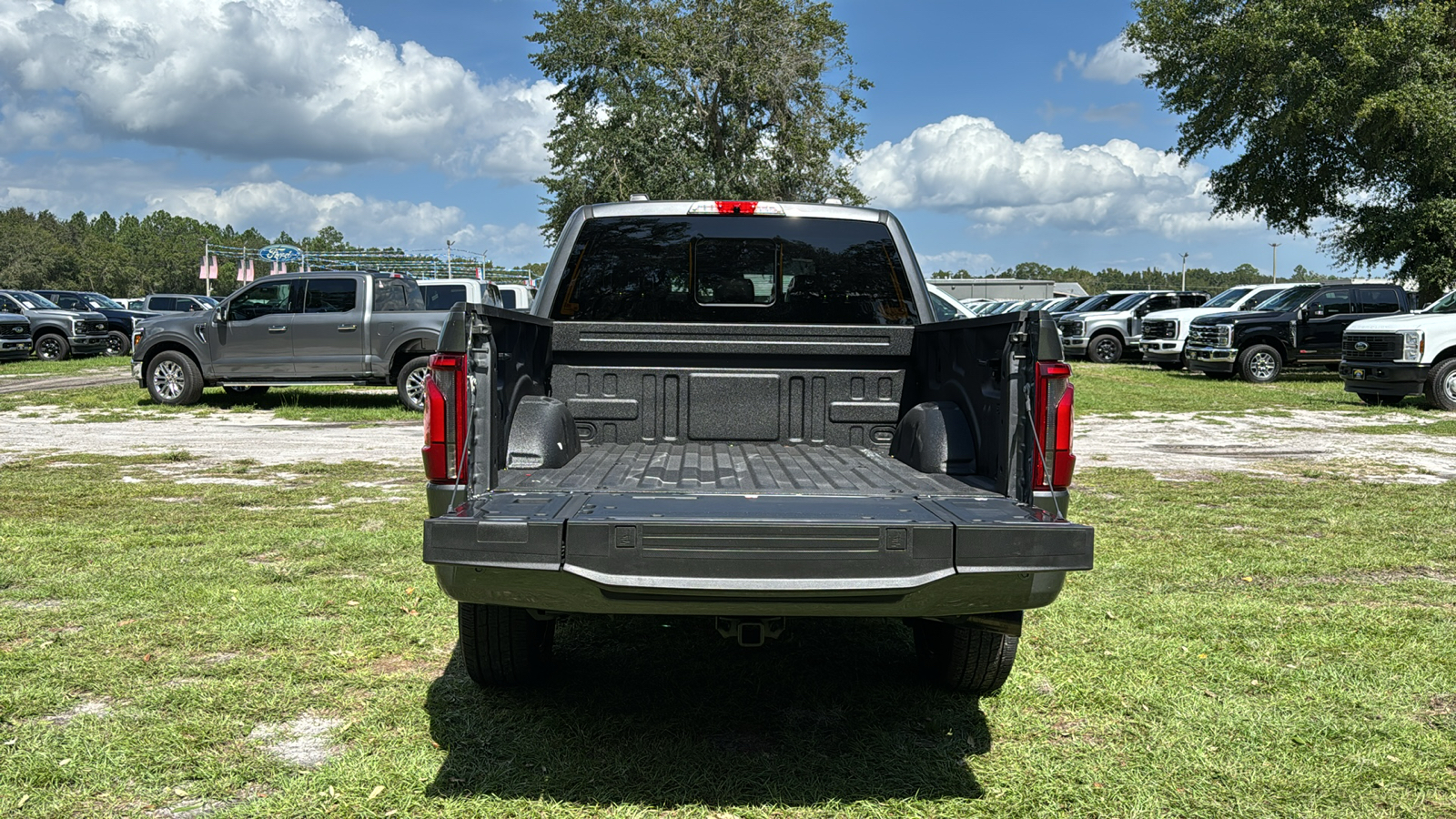 2024 Ford F-150 Platinum 6