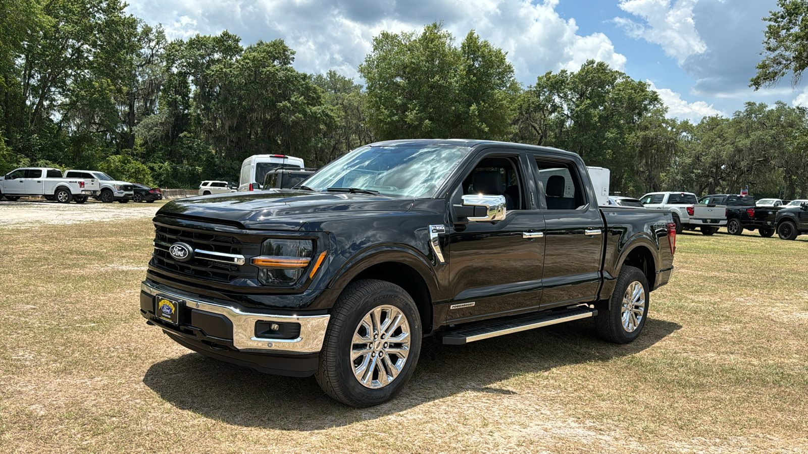 2024 Ford F-150 XLT 2