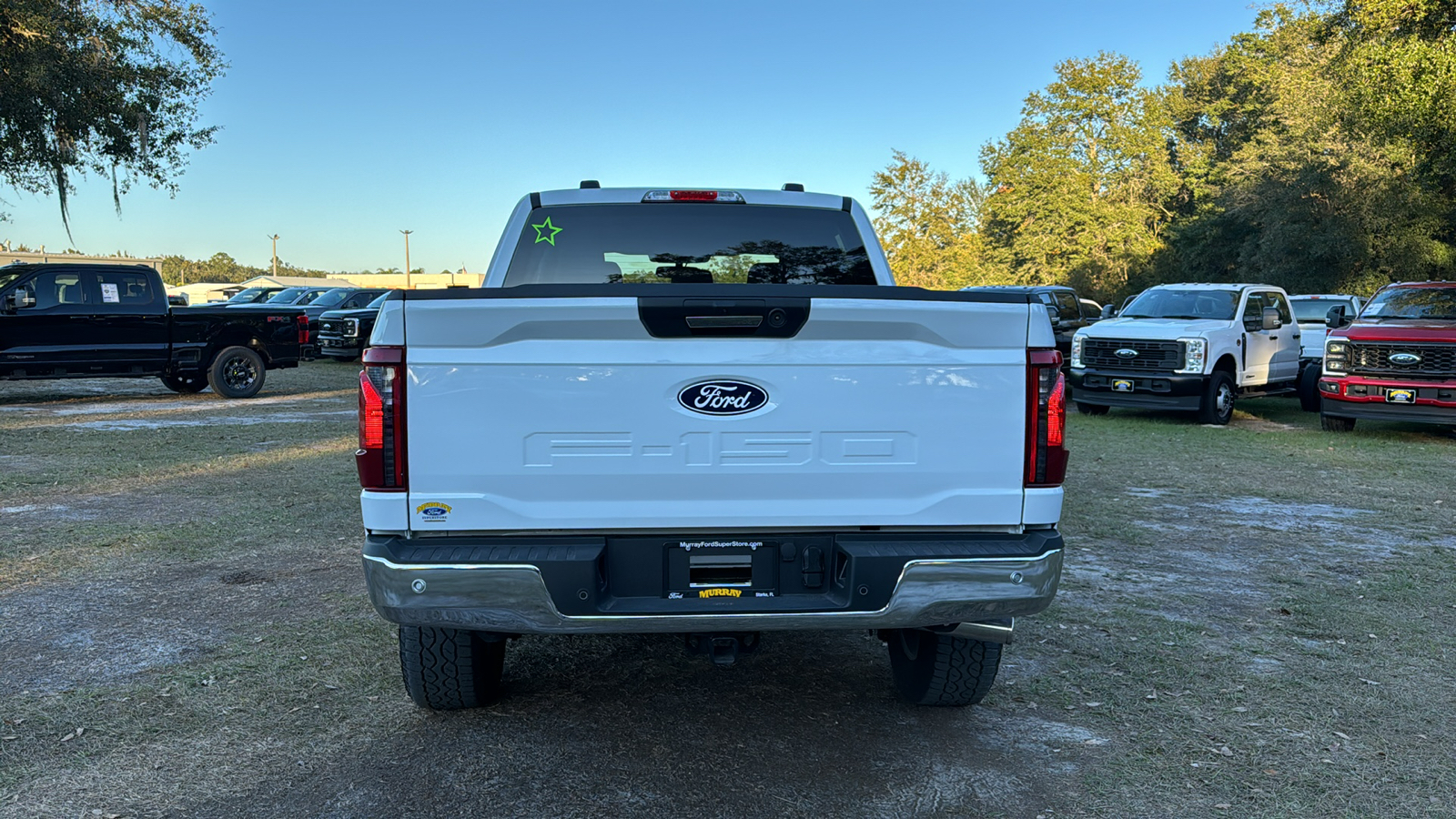 2024 Ford F-150 XLT 5