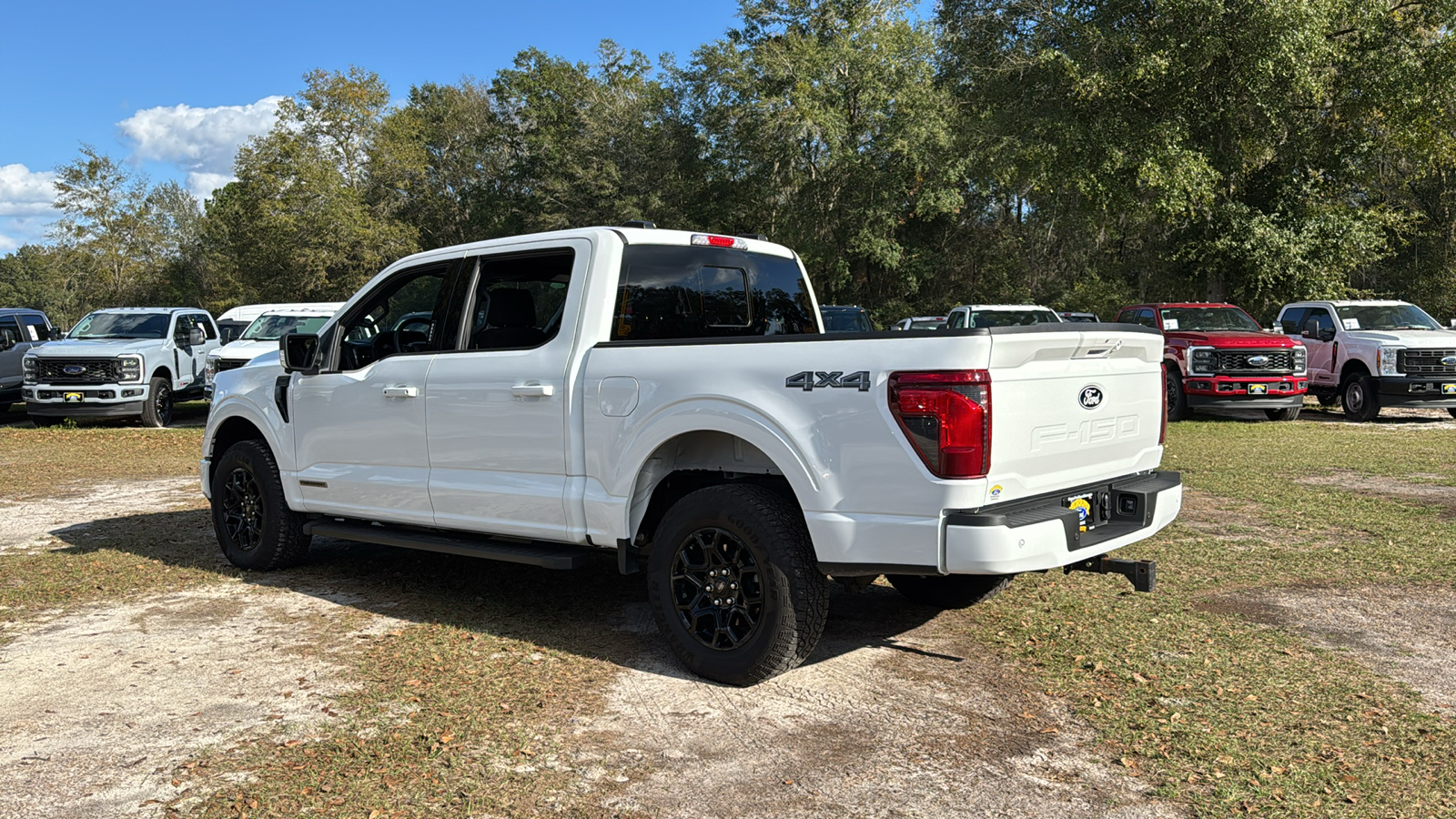 2024 Ford F-150 XLT 4