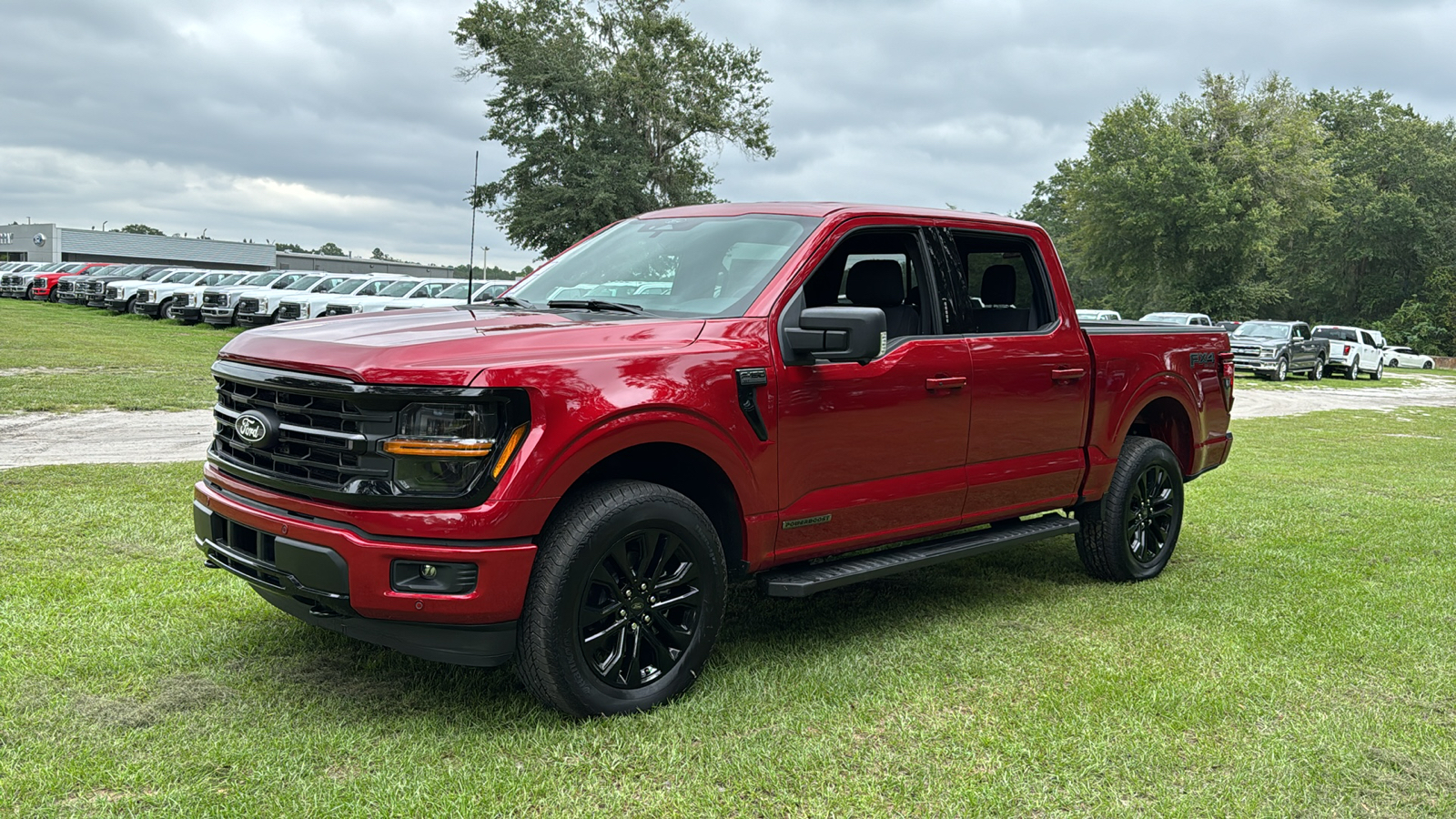 2024 Ford F-150 XLT 2