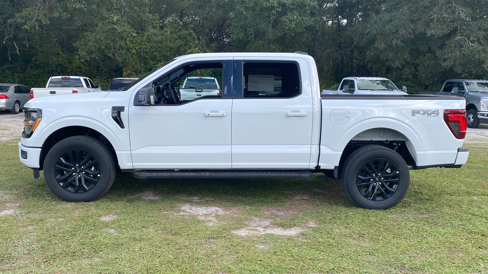 2024 Ford F-150 XLT 4