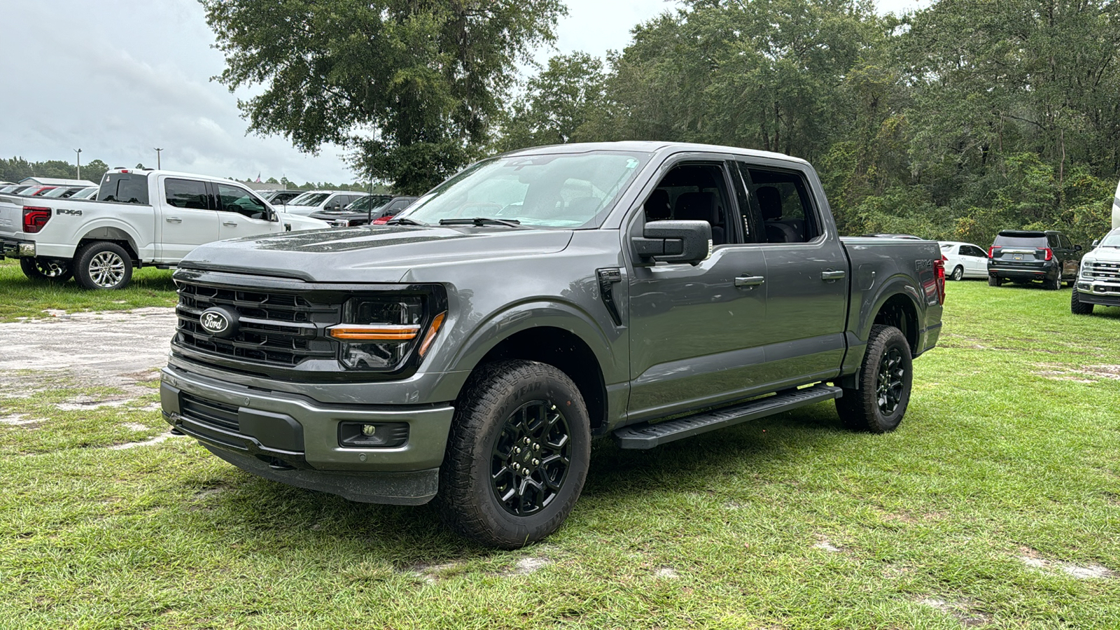 2024 Ford F-150 XLT 2